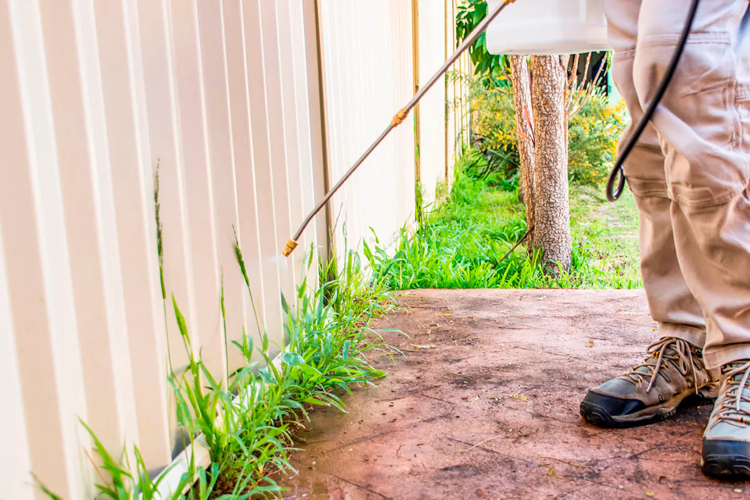 7 godkända ogräsmedel Ogräsmedel